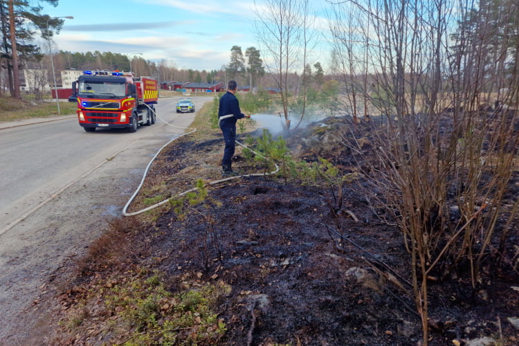 Foto: Daniel Sjöholm