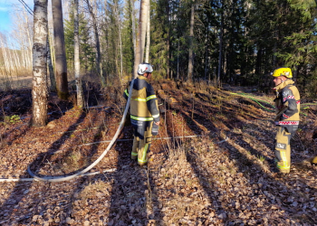 Bollnäs: Mindre skogsbrand på Renskullen