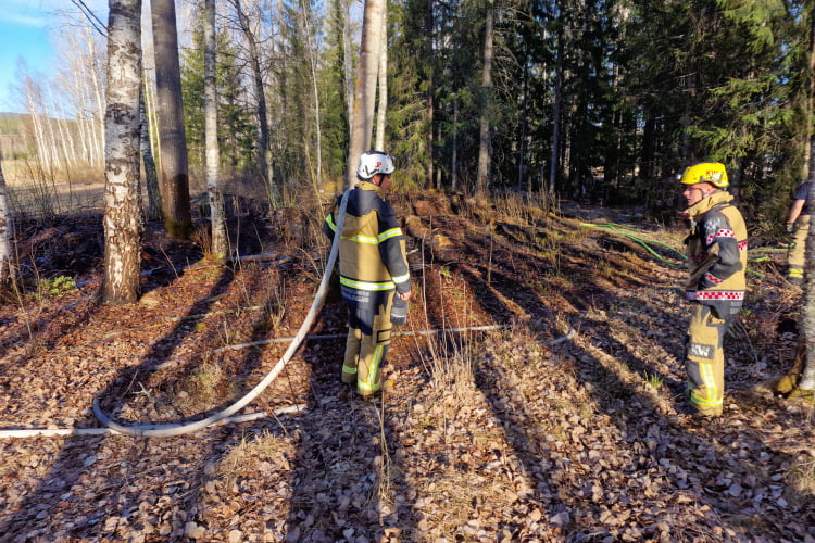 Foto: Daniel Sjöholm