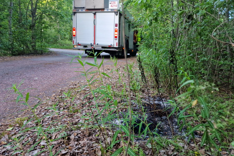 Foto: Daniel Sjöholm