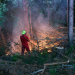 Söderala: Mindre skogsbrand