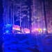 Söderhamn: Bastubrand i Utvik