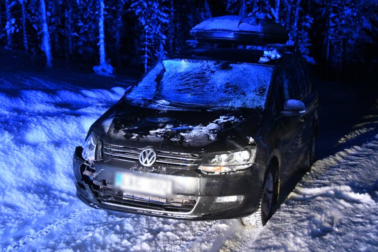 Foto: Daniel Sjöholm