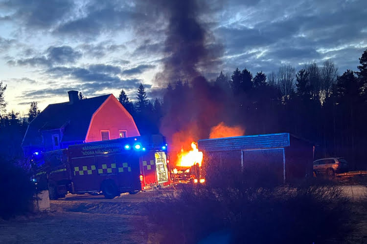 Foto: Läsarbild