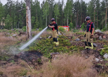 Sunnäs: Blixtnedslag orsakade mindre markbrand