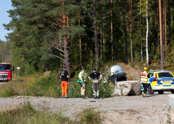 Sandviken: Singelolycka på väg 559
