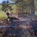 Söderhamn: Brand vid Björntjärn