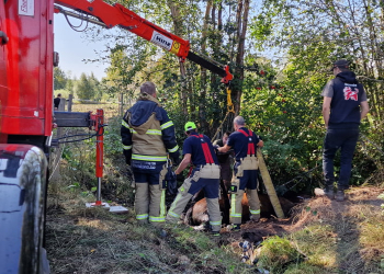 Söderhamn: Två hästar fast i dike