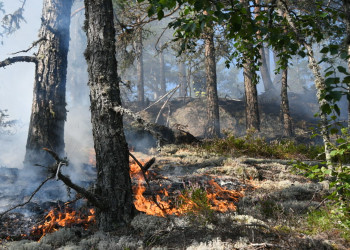 Rengsjö: Skogsbrand vid Skidtjärnsberget