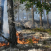 Rengsjö: Skogsbrand vid Skidtjärnsberget