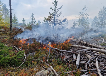Ljusne: Skogsbrand vid Dunsetjärn