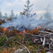 Ljusne: Skogsbrand vid Dunsetjärn