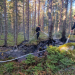Sunnäs: Mindre skogsbrand