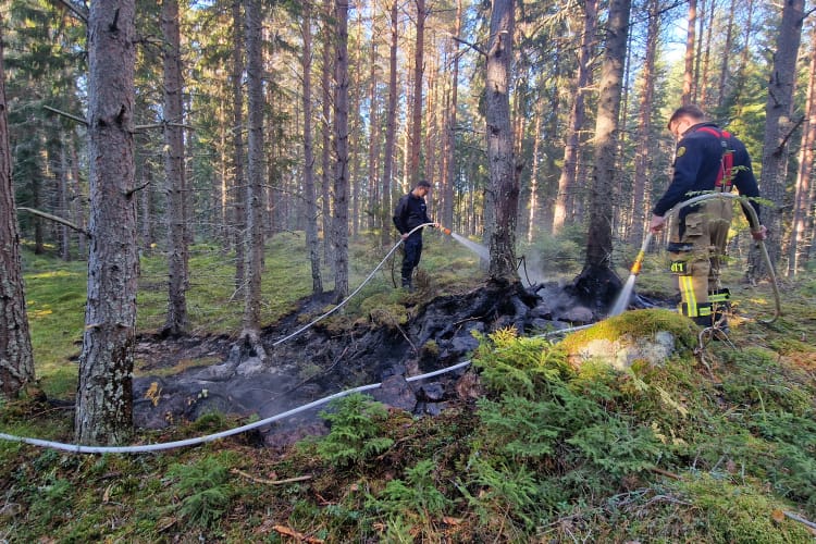 Foto: Daniel Sjöholm