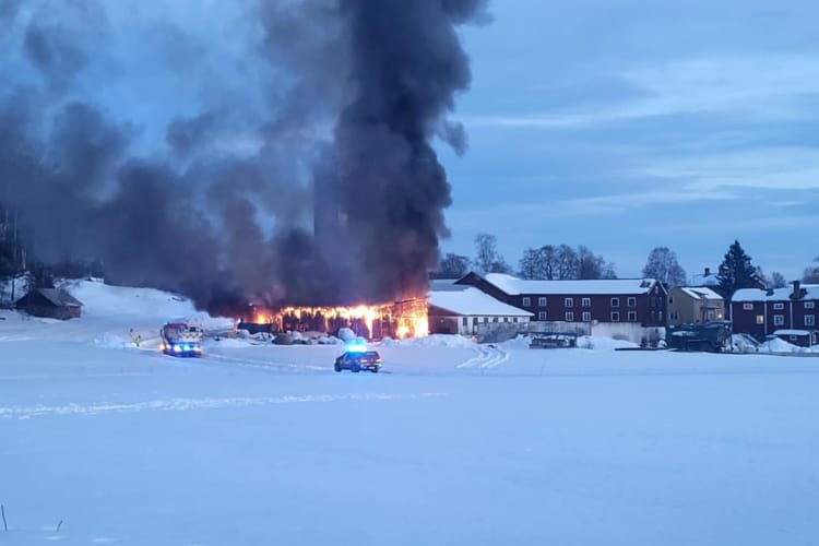 Foto: Läsarbild