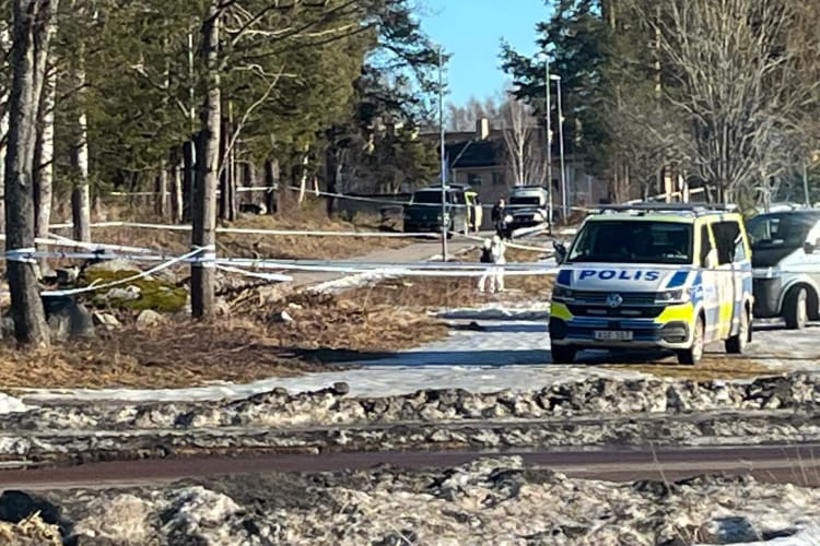 Foto: Läsarbild