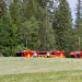Storvik: Mindre skogsbrand släcktes