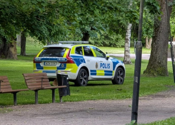 Gävle: Polisen utreder grovt brott vid Boulognerskogen