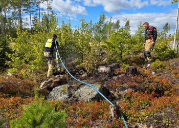 Ljusne: Mindre skogsbrand vid Skallgårdssund