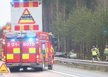 Älvkarleby: Kvinna omkom i singelolycka