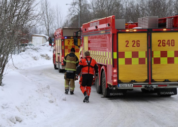 Storvik: Larm om rådjur i nöd