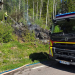 Söderhamn: Mindre skogsbrand utmed väg 639