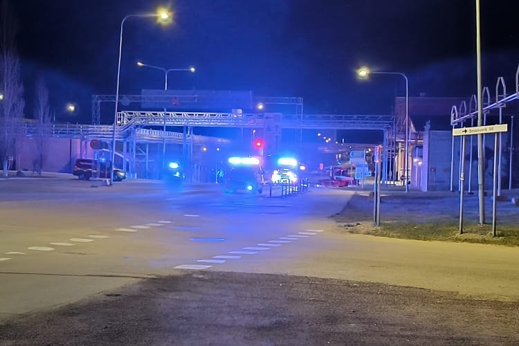 Foto: Läsarbild