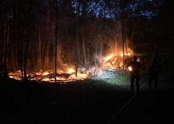 Ljusne: Ny brand i ödebyggnader