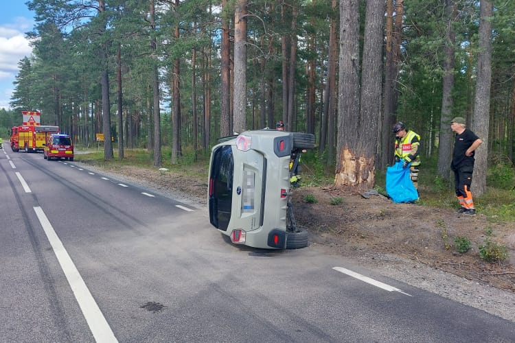 Foto: Läsarbild