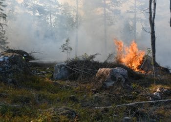 Sandarne: Skogsbrand vid Hönsberget