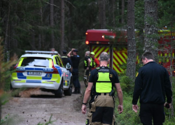 Mo: Man försökte elda av träd