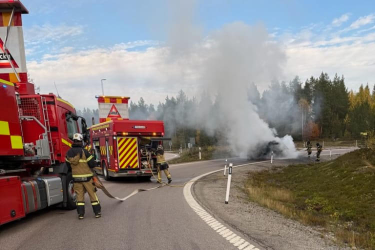 Foto: Läsarbild