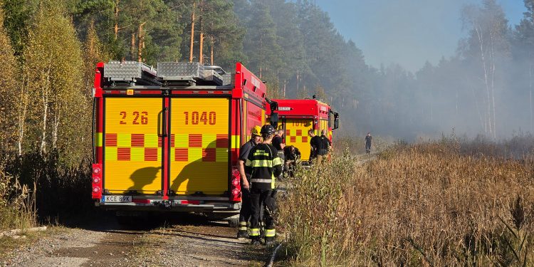 Foto: Daniel Sjöholm