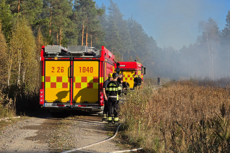 Foto: Daniel Sjöholm